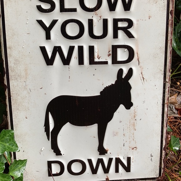 Humorous Donkey Sign - Picture 4 of 4